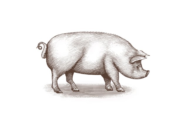 pig art 2 2